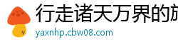 行走诸天万界的旅者1大智1
